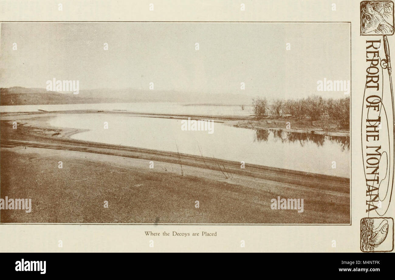 The 1917 biennial report from the Montana Game and Fish Commission ...