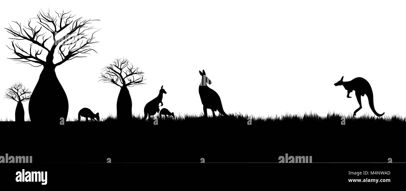 silhouette of kangaroos hopping in the outback of Australia around