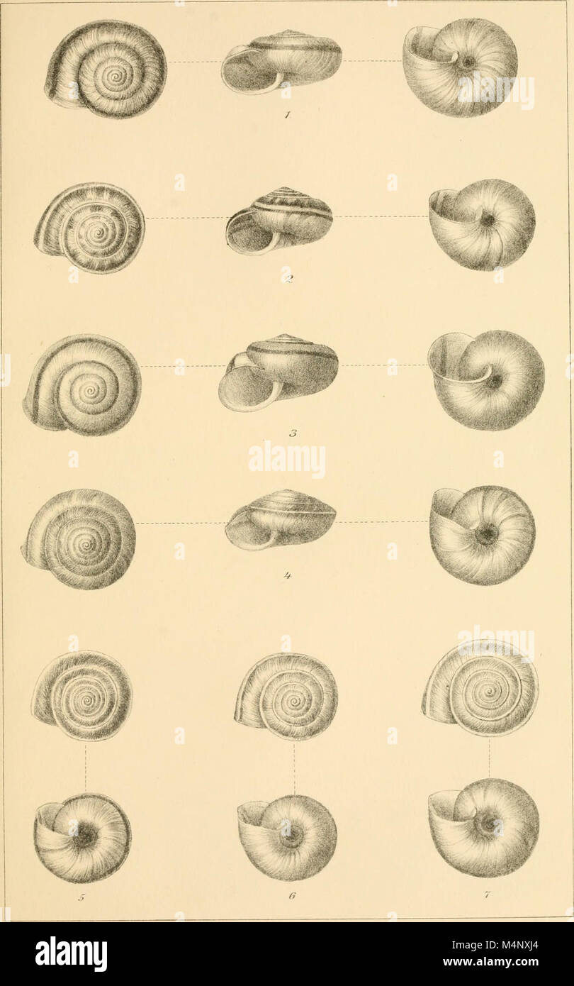 This 1899 work focuses on the study of freshwater mollusks from West ...