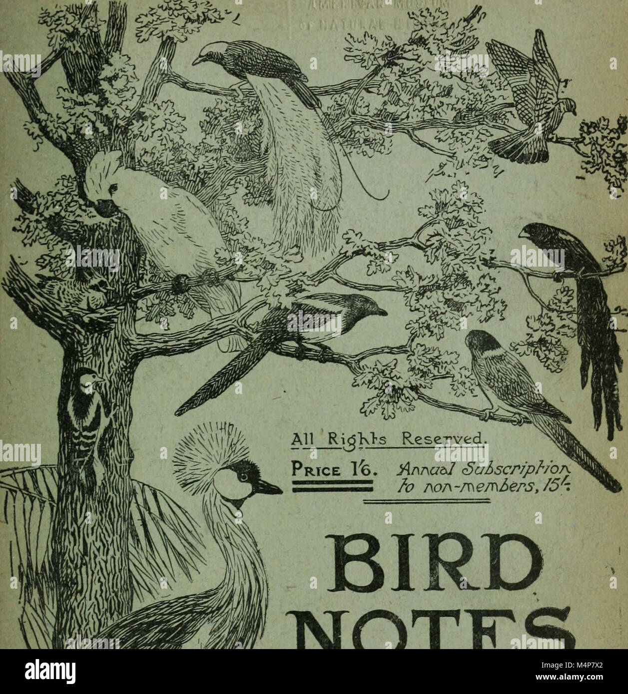 Bird notes (1919) (14751943605 Stock Photo - Alamy