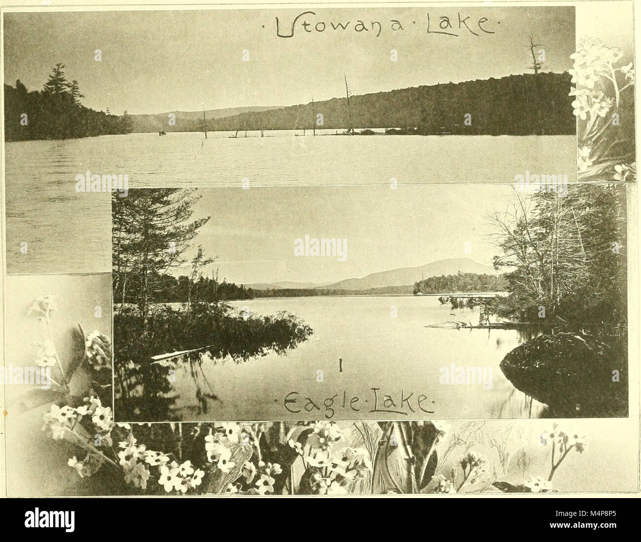 Blue Mountain Lake (1889) (14763146034 Stock Photo Alamy