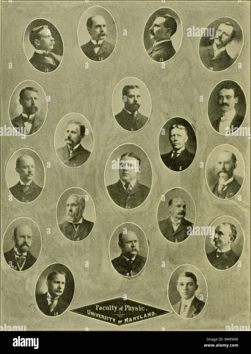 Bones, molars, and briefs (1904) (14780493944) Stock Photo