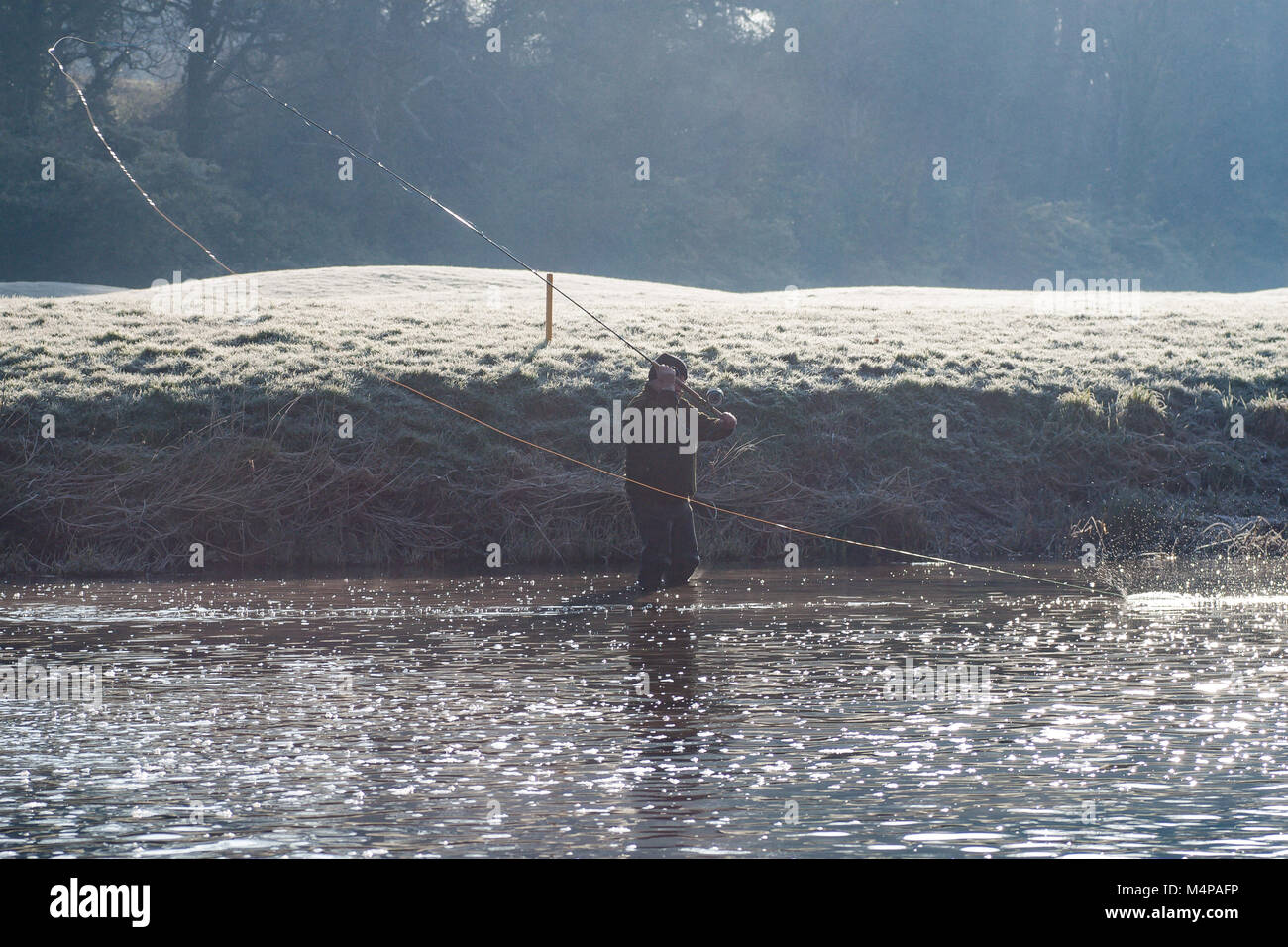 Man angler fly fishing at the Salmon Leap Weir on The River Rye in