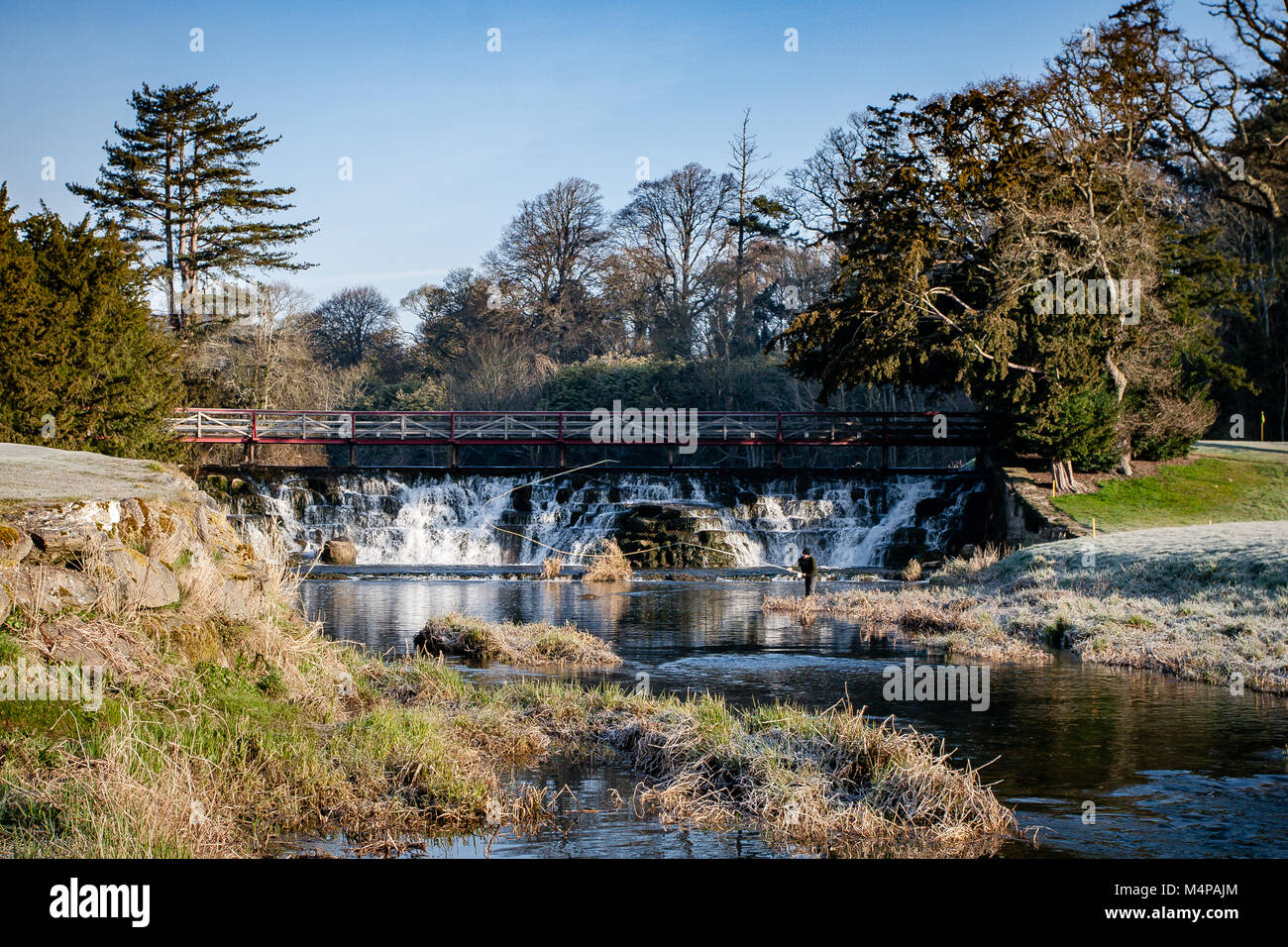 Man angler fly fishing at the Salmon Leap Weir on The River Rye in Carton House, Maynooth, County Kildare, Ireland Stock Photo