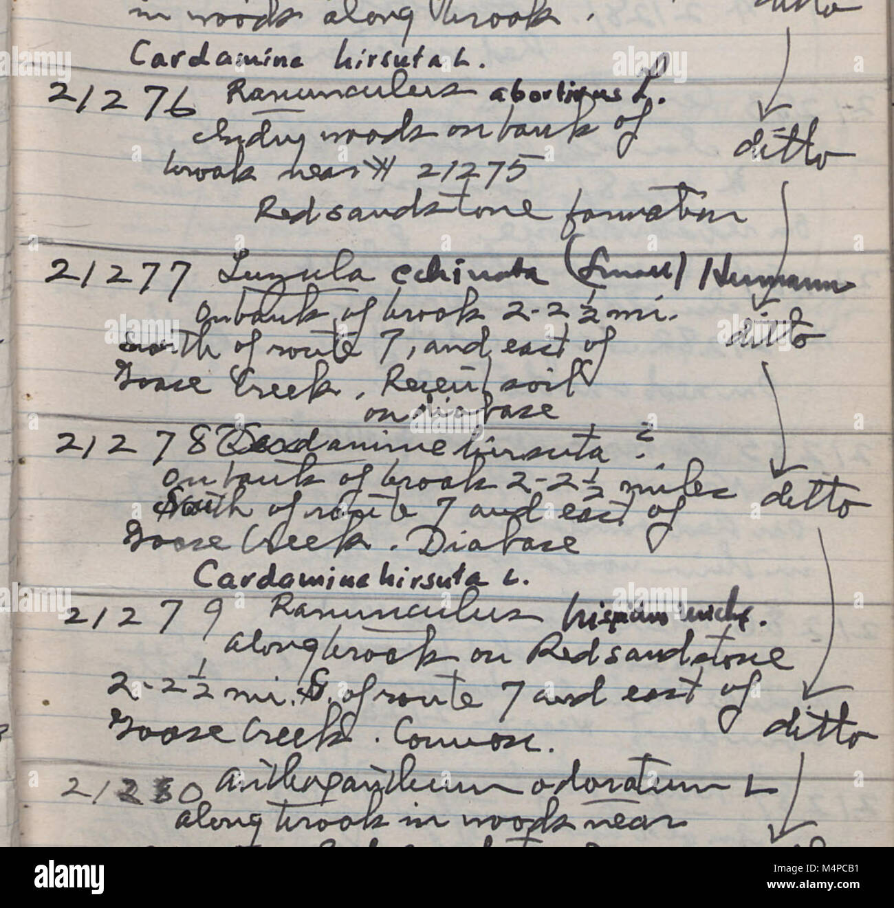 This book catalogues the field collection specimens gathered by H.A ...