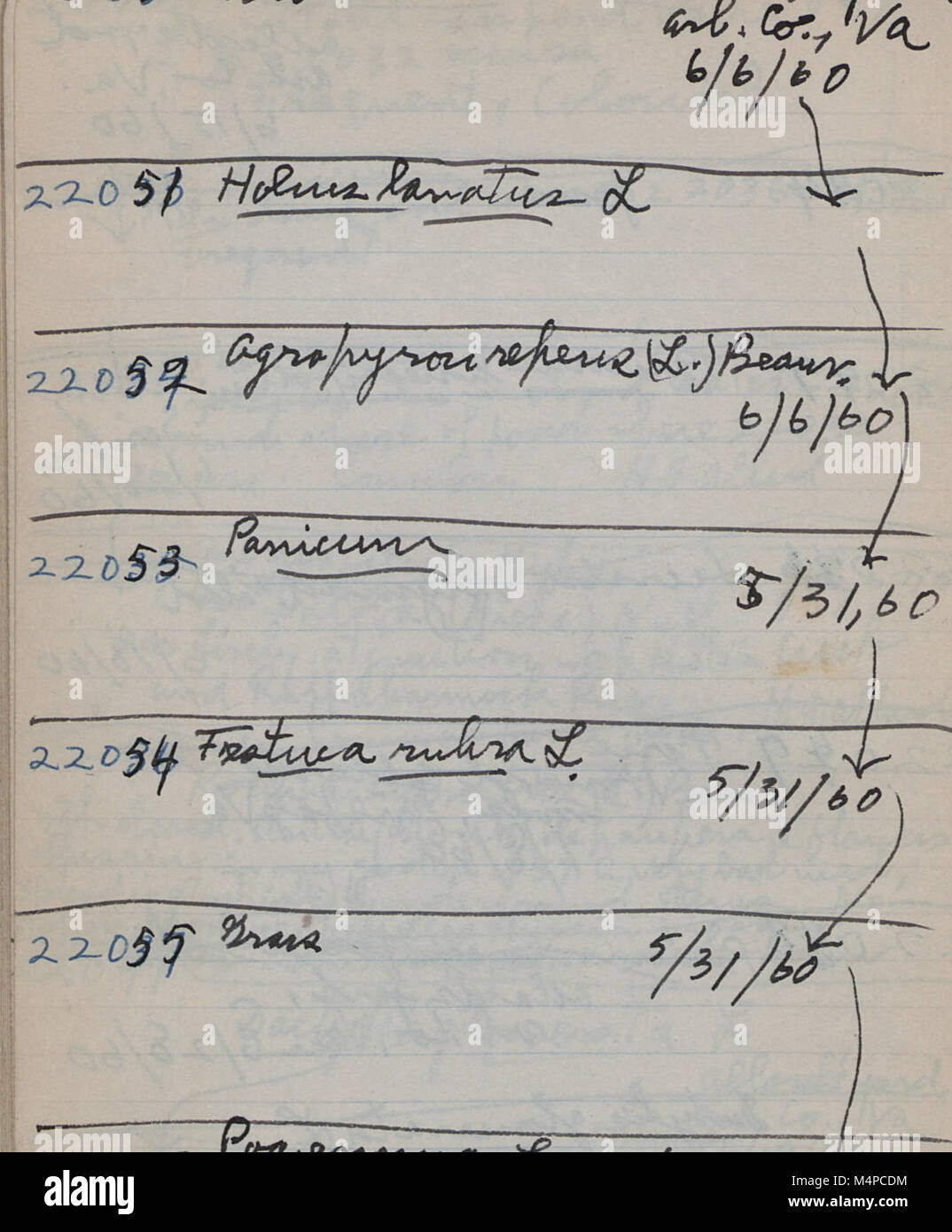 Book no. 17 details field collection specimens gathered between 1953 ...