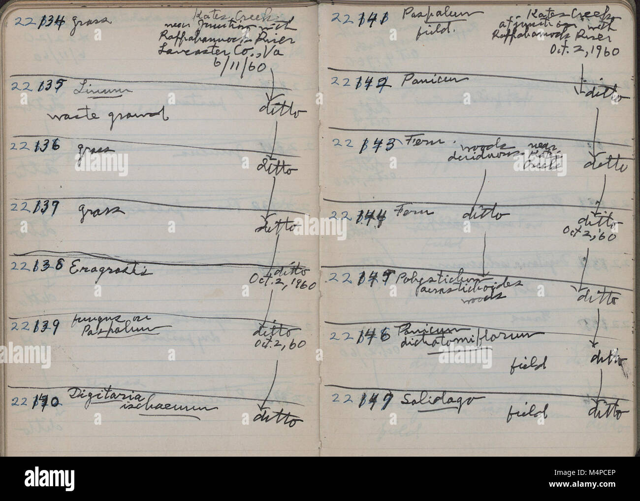 This book details field collection specimens cataloged by H.A. Allard ...