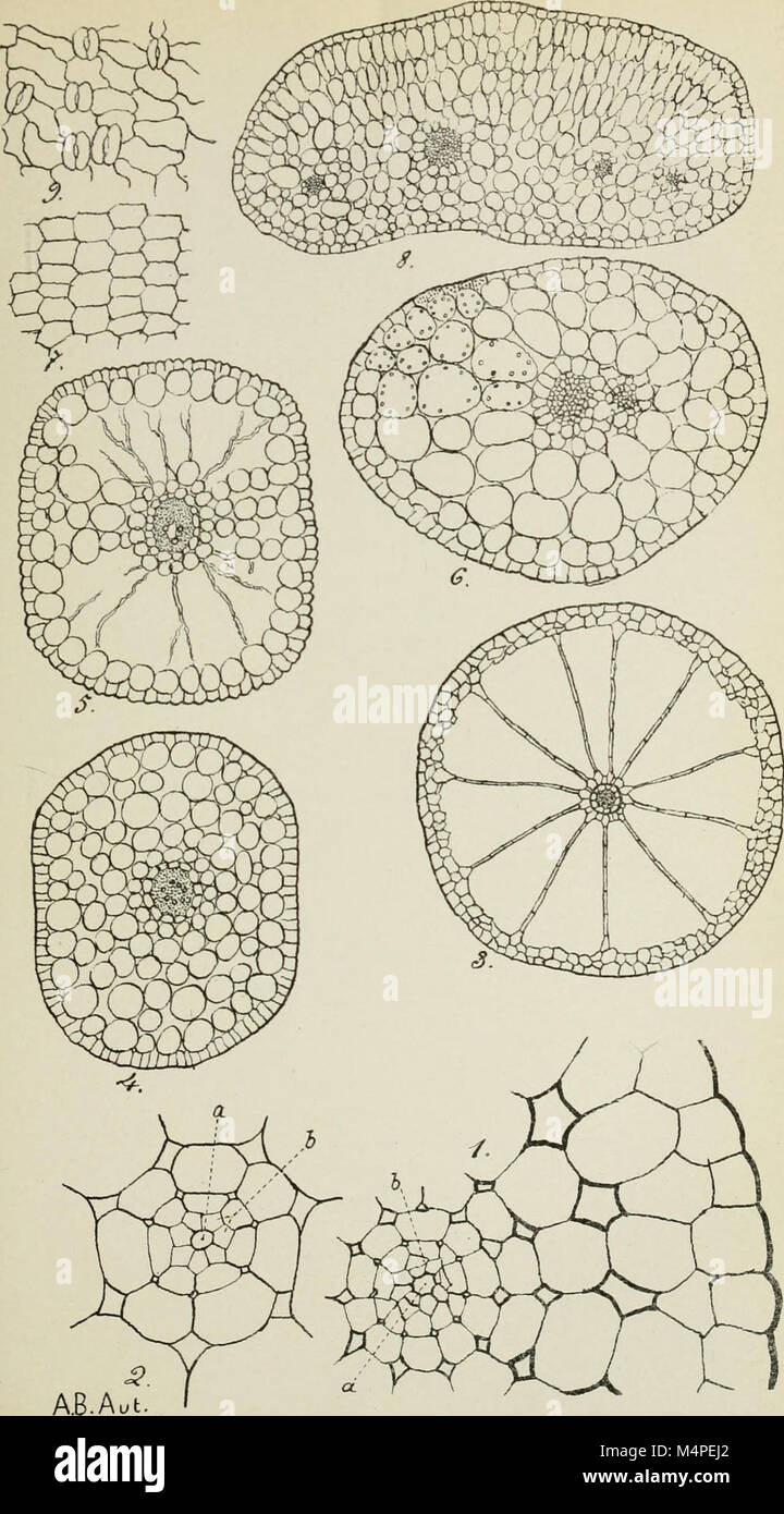 A botanical yearbook focused on the latest research and discoveries in ...