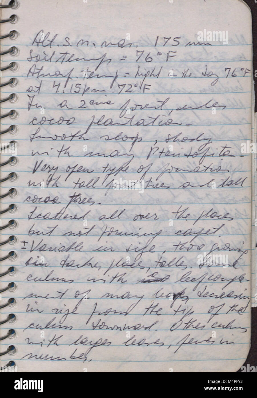 1972 Writing Brasil 1972, 1 (1972) (19787748973 Stock Photo - Alamy