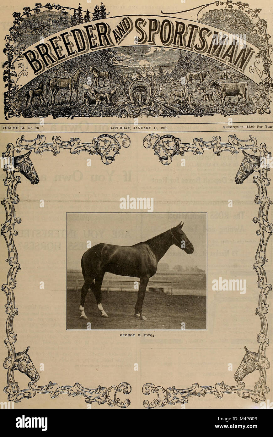 Breeder sportsman hi-res stock photography and images - Page 8 - Alamy