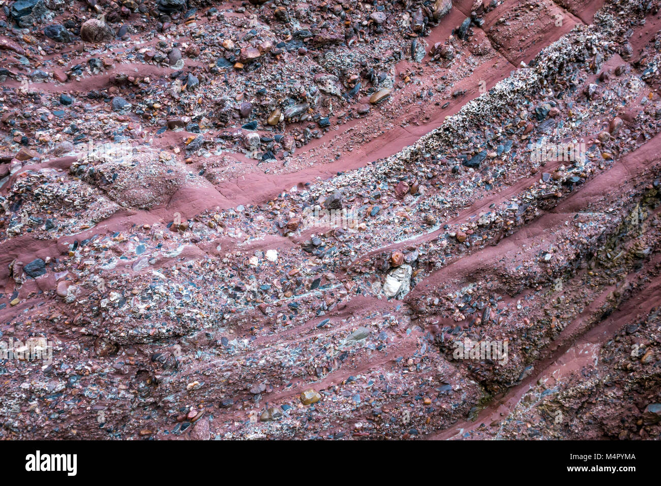 Rock layers of conglomerate stone and pink sandstone, Gardenstown, Aberdeenshire, Scotland, UK Stock Photo