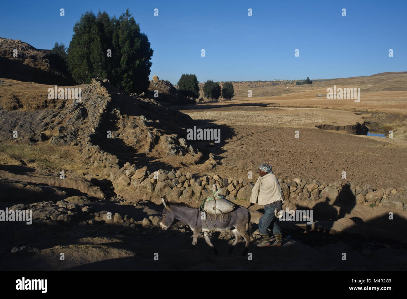 A village man and his donkey are going to the nearest town ( Ethiopia) Stock Photo
