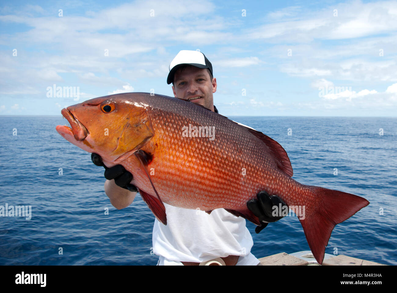 Red snapper fishing photography and -