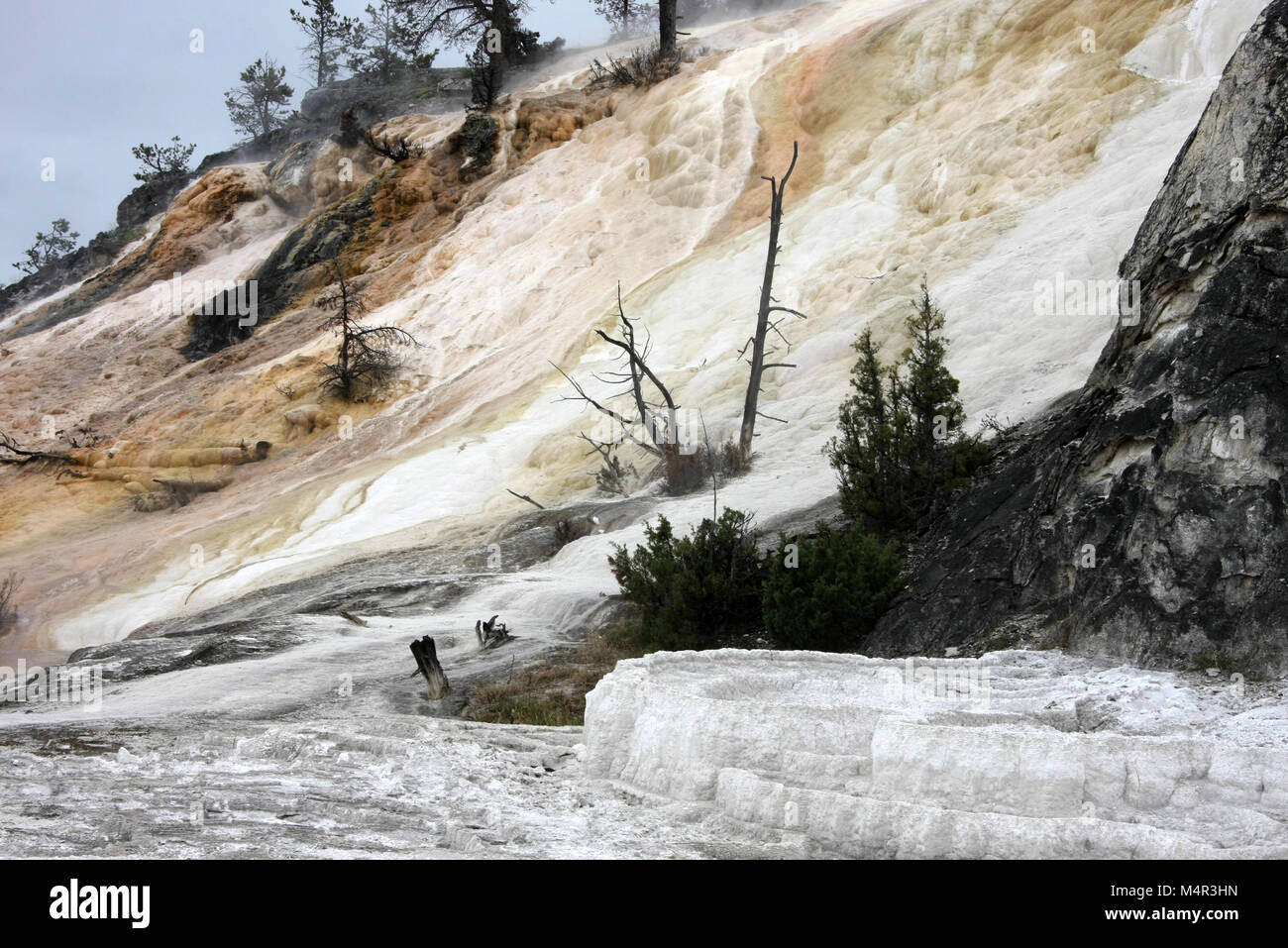 Palette Spring, Mammoth Hot Springs, Yellowstone National Park Stock Photo