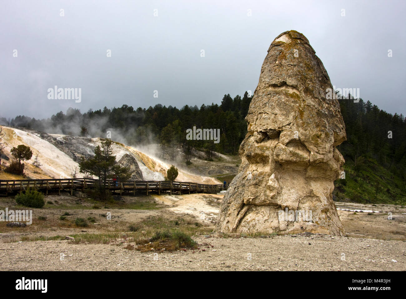 Liberty Cap and Palette Spring, Yellowstone National Park, USA Stock Photo