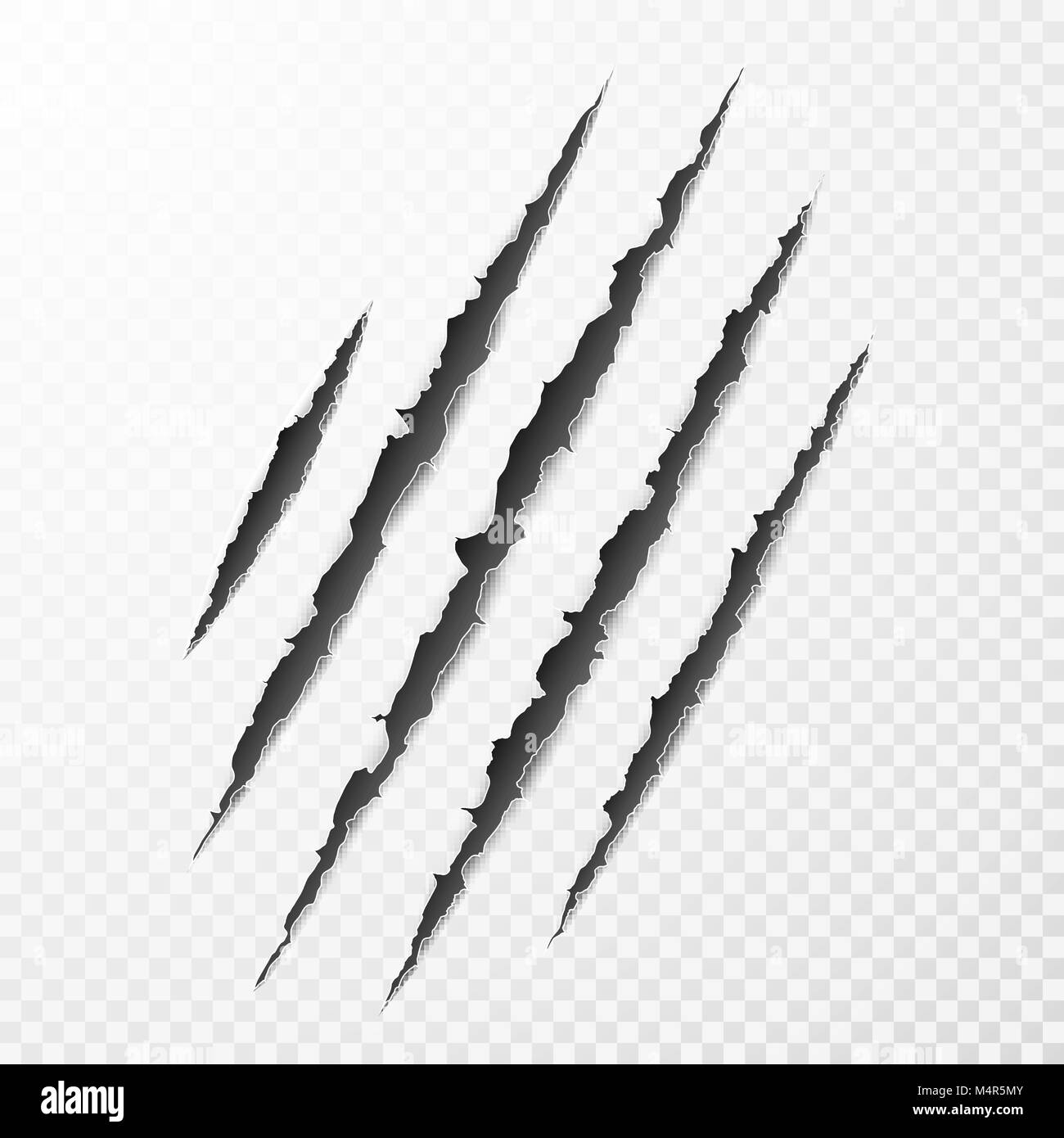 Scary leceration paper surface. Wild animal claws scratch texture. Torn paper edge. Isolated vector illustration Stock Vector