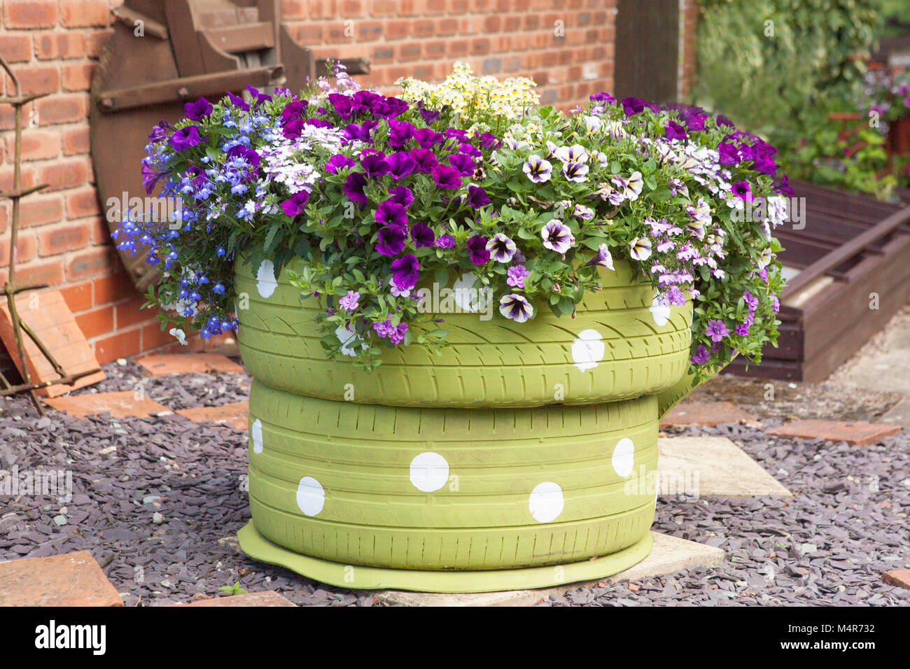 An outsized tea cup made from car tyres planted with petunias and lobelia Stock Photo