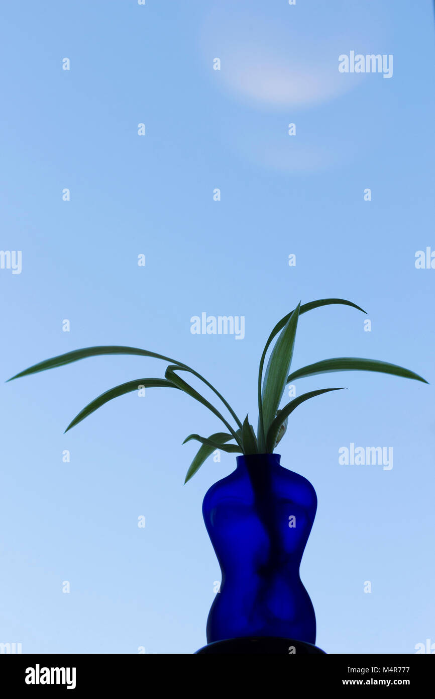 Blue vase shaped as a woman with plant, sky background. Different shades of blue. Lots of blue sky/space. Stock Photo