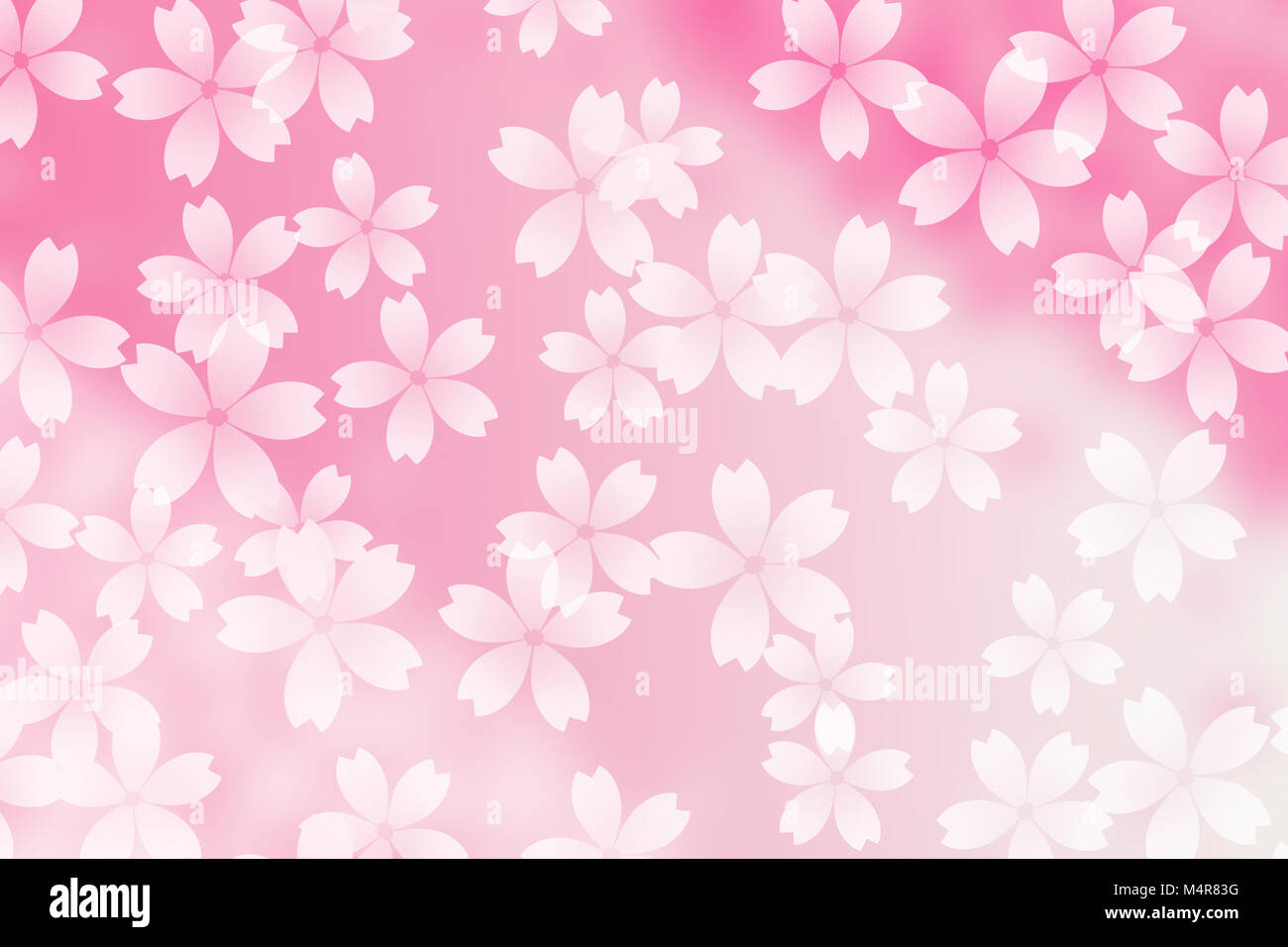 Japanese cherry blossom abstract on blurry pink background Stock Photo ...