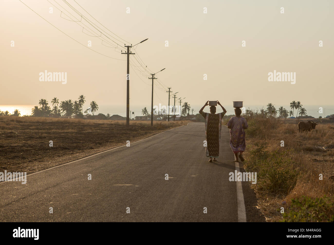 Villagers carry water in a remote part of India Stock Photo Alamy