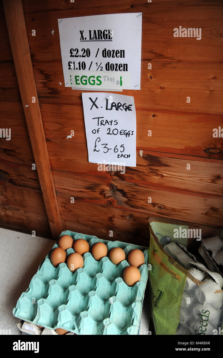 Box Eggs Sale Honesty Box High Resolution Stock Photography and Images