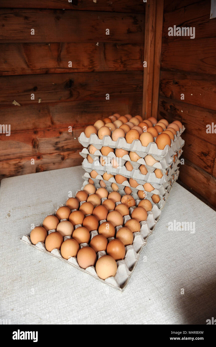 Box Eggs Sale Honesty Box High Resolution Stock Photography and Images