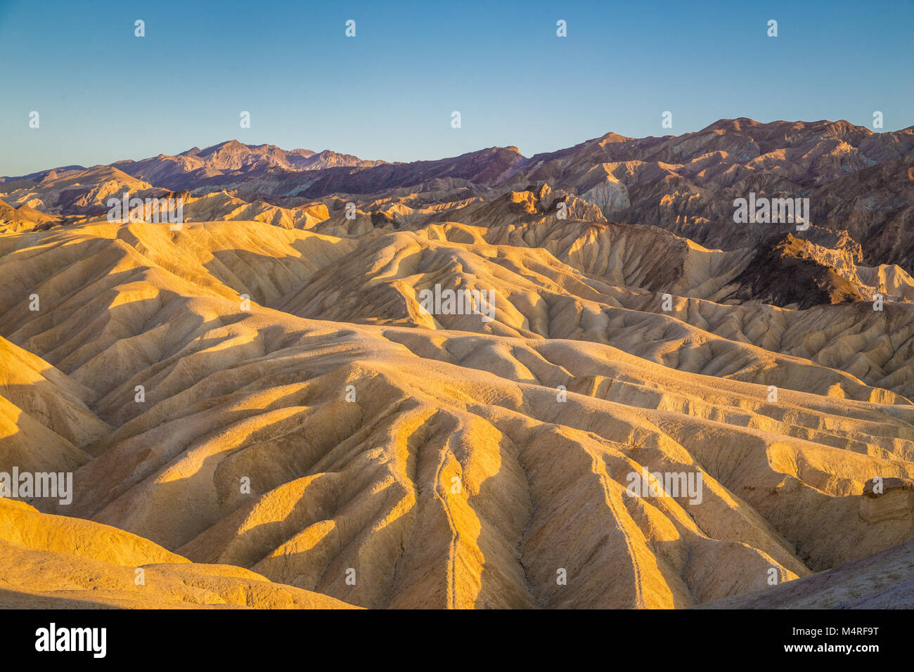 Scenic view of amazing sandstone formations at famous Zabriskie Point viewpoint in golden evening light at sunset, Death Valley National Park, USA Stock Photo