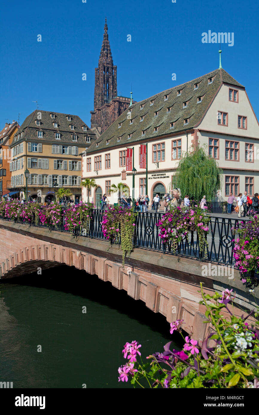 Flower decorated Pont Corbeau with view on the Cathedral of Strasbourg, Alsace, Bas-Rhin, France, Europe Stock Photo