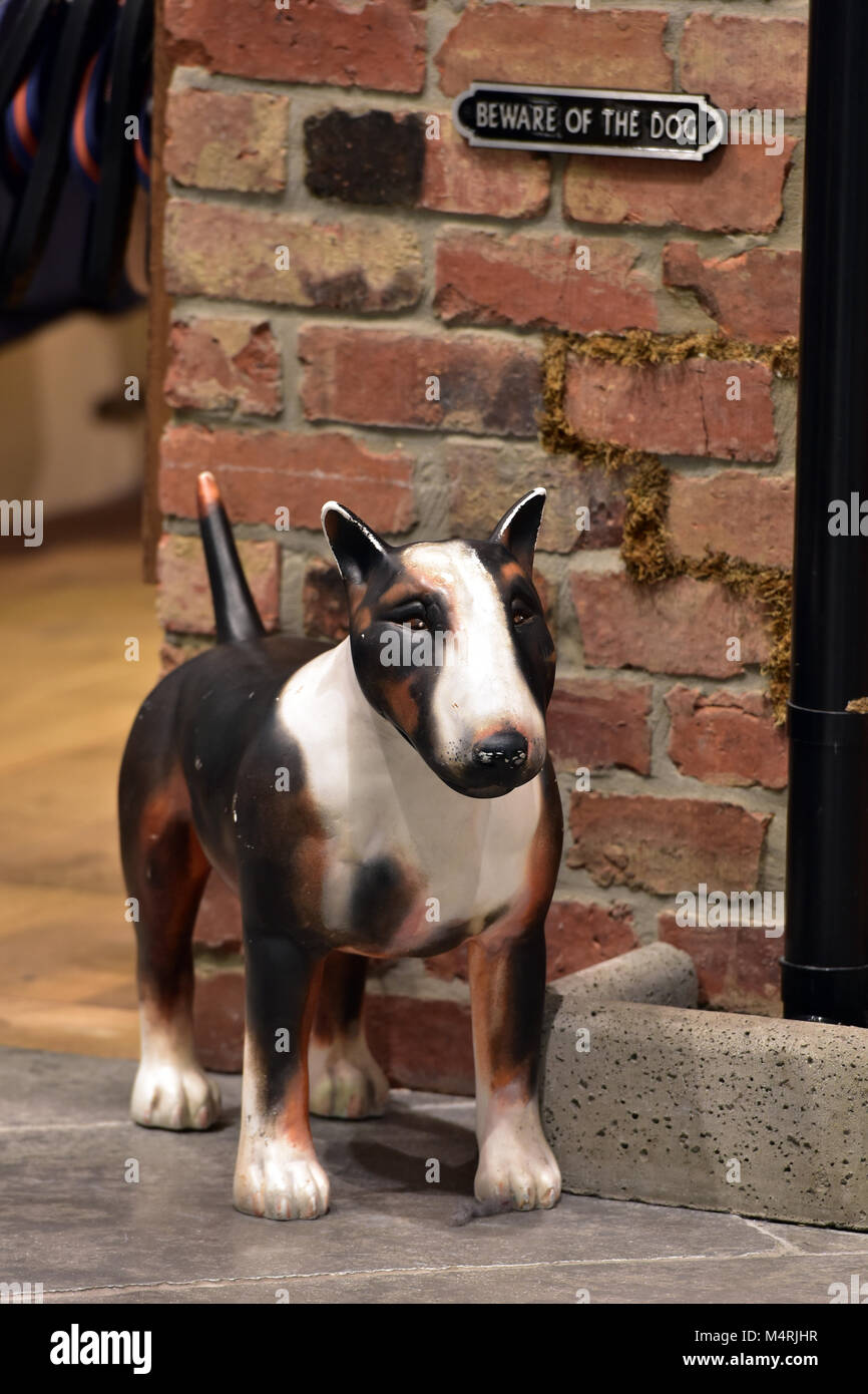 english bull terrier shop