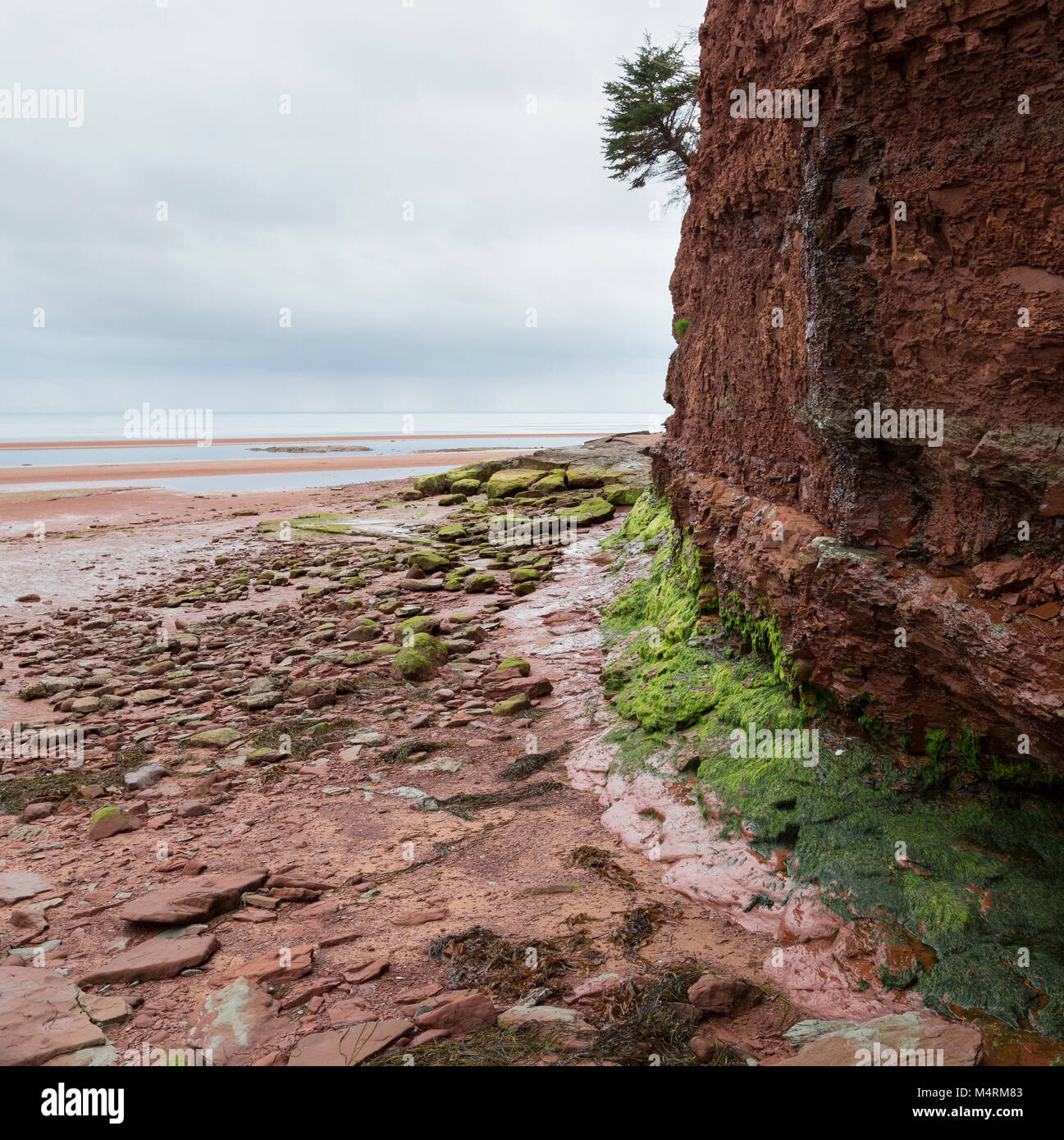 Argyle Shore, PEI, Canada Stock Photo Alamy