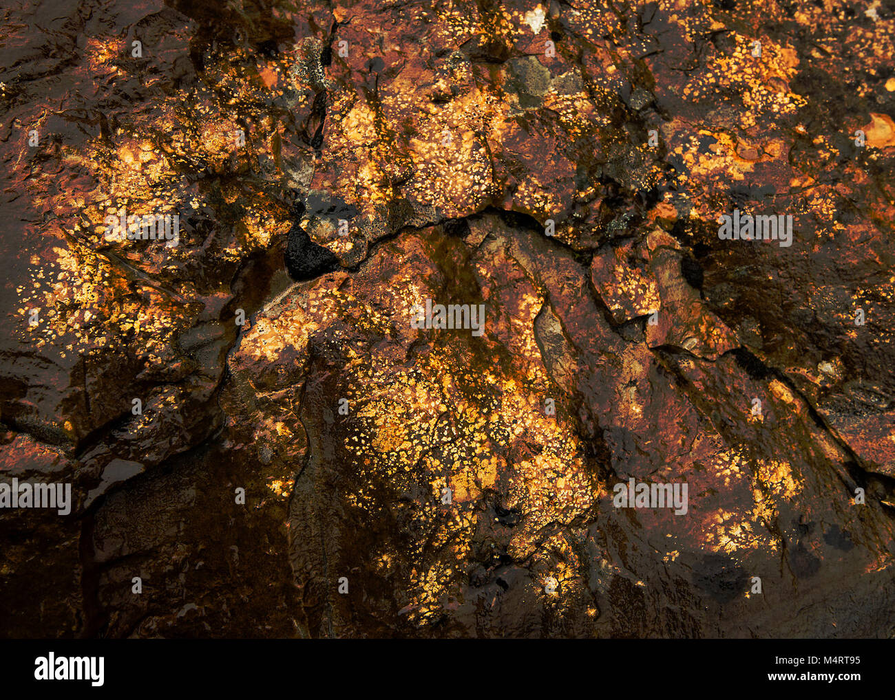 Gunsight Trail The Park on Fire Stock Photo Alamy