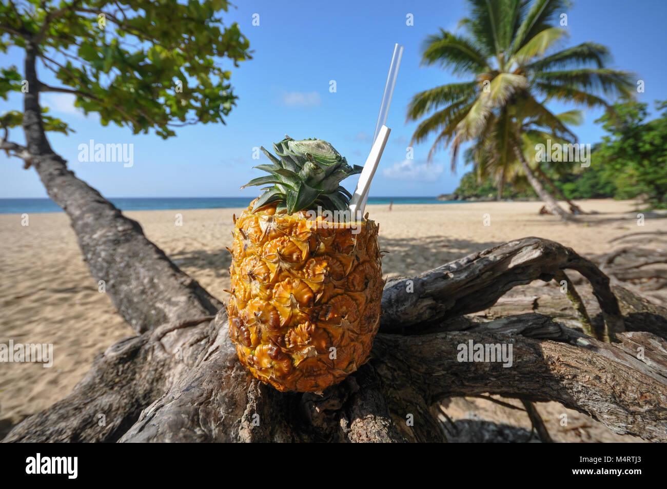 Pina Colada served in fresh pineapple perched on palm tree at Cabrera Beach in Cabrera, Dominican Republic. Stock Photo