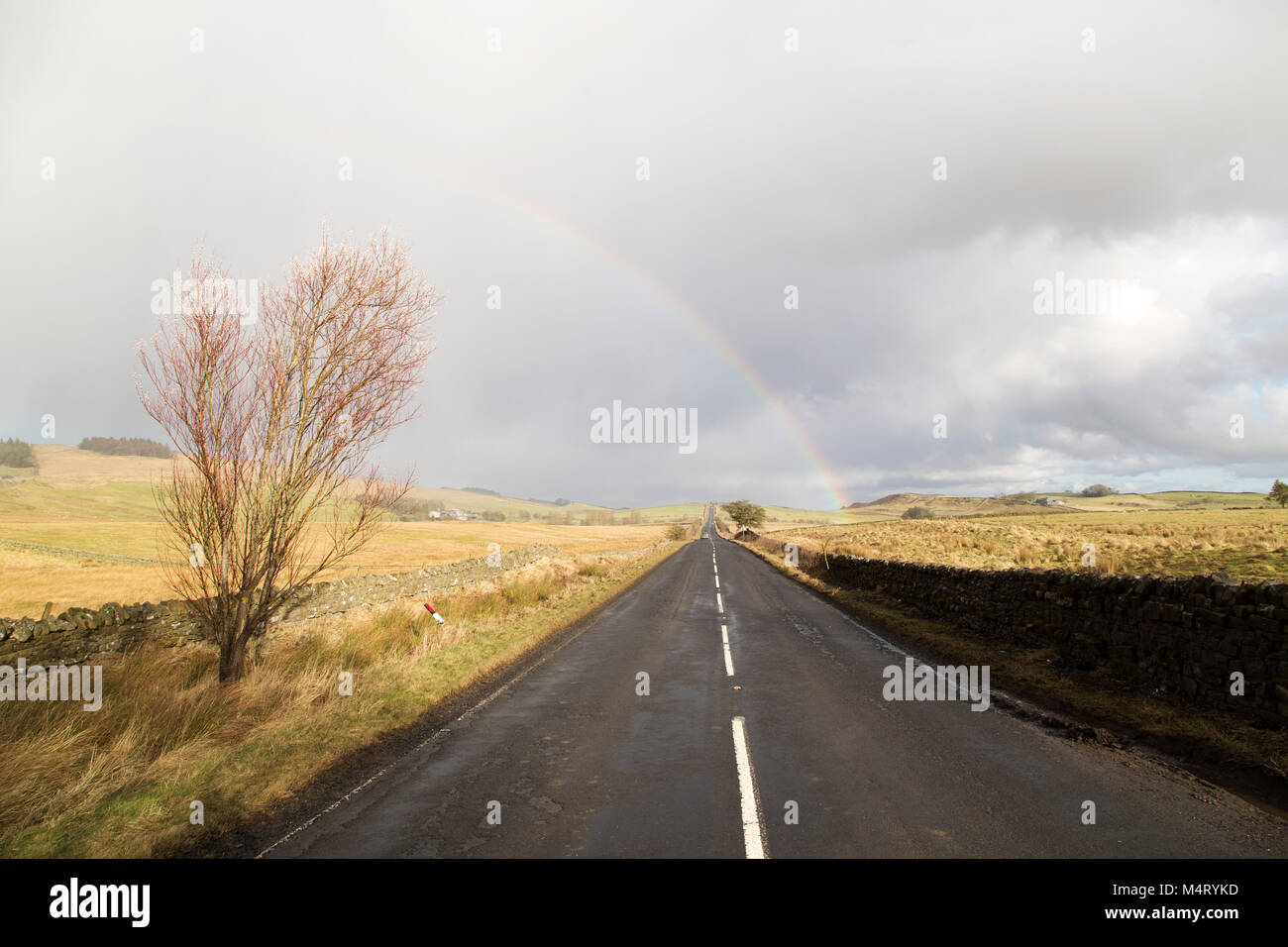 Military road northumberland hires stock photography and images Alamy