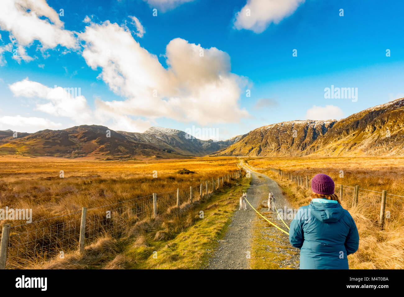 Carneddau mountain range hires stock photography and images Alamy