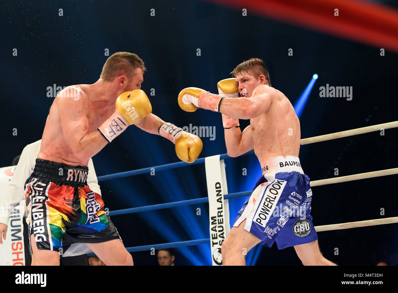profiboxer high resolution stock photography and images alamy