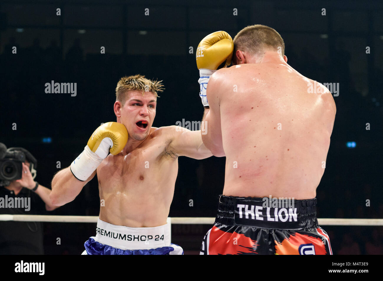 profiboxer high resolution stock photography and images alamy