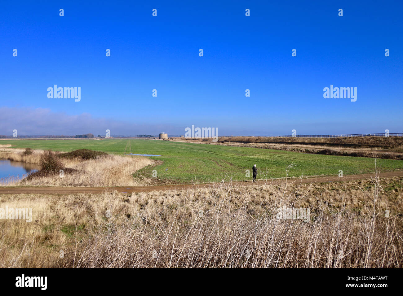 Angela Chalmers High Resolution Stock Photography and Images Alamy