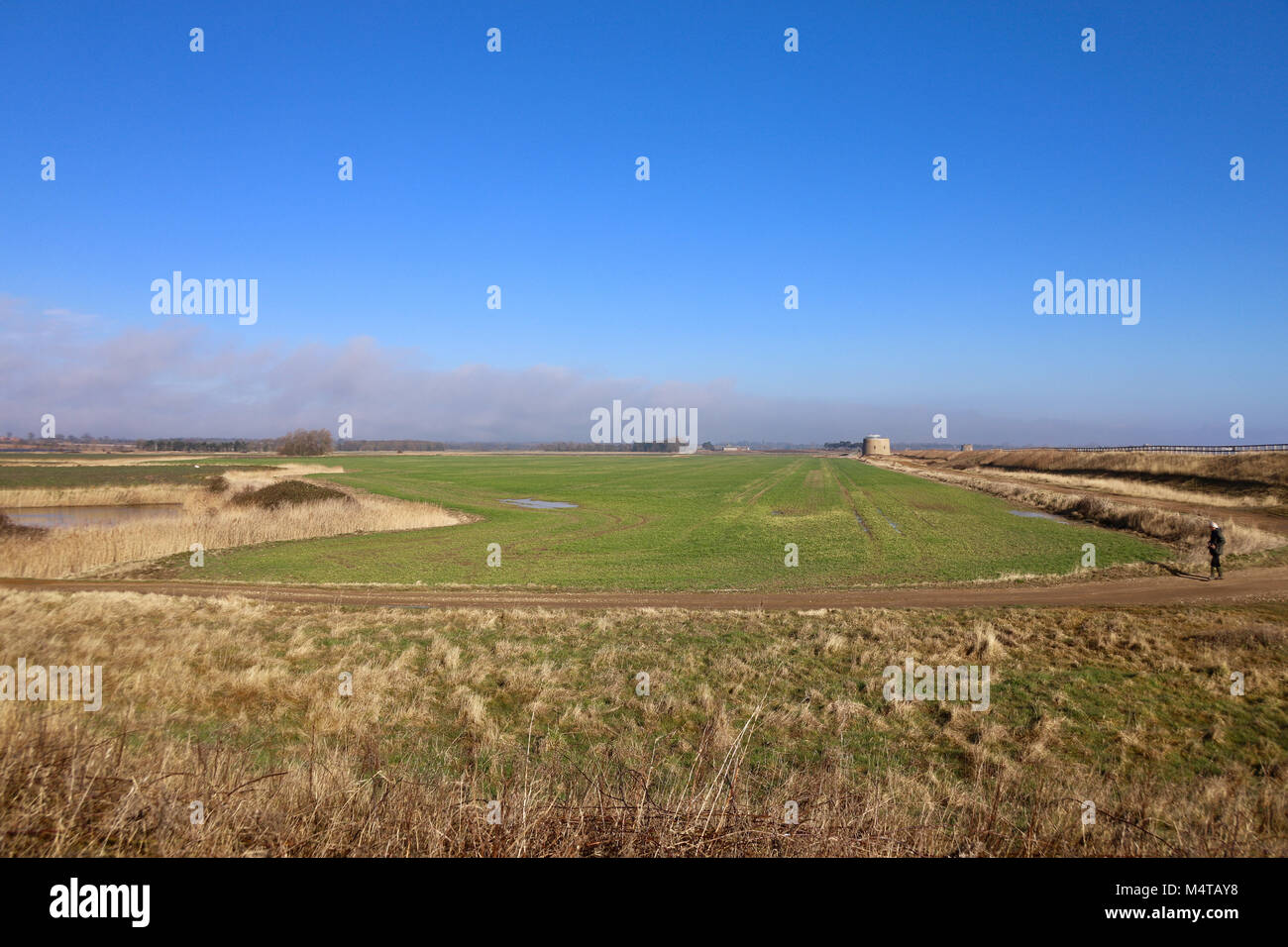 Angela chalmers hires stock photography and images Alamy