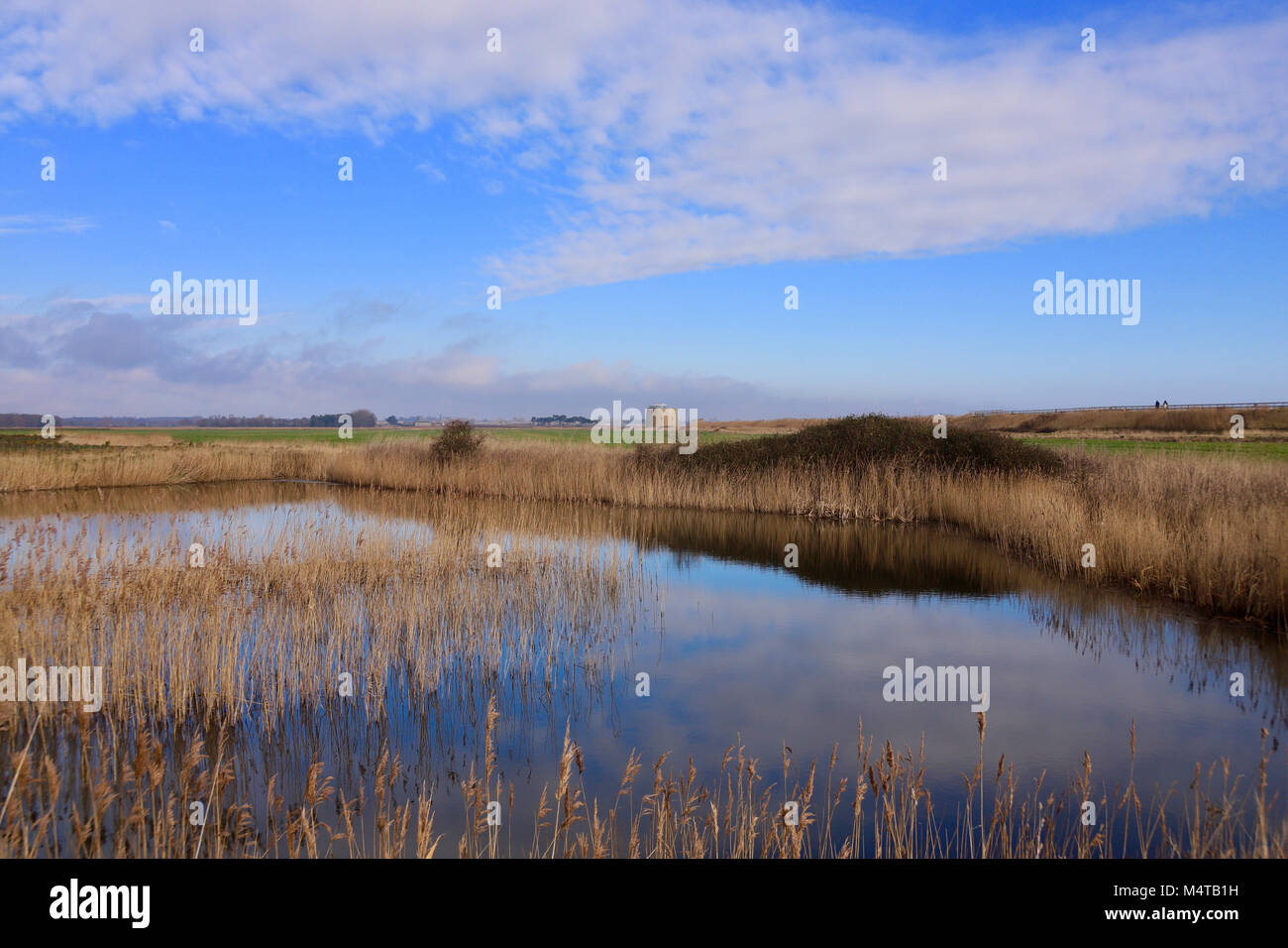 UK Weather Bright sunny winter morning in Bawdsey, Suffolk. Credit