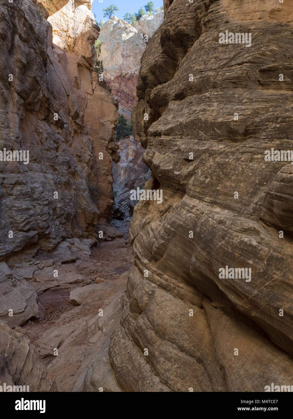 Cottonwood Narrows Utah Stock Photo Alamy