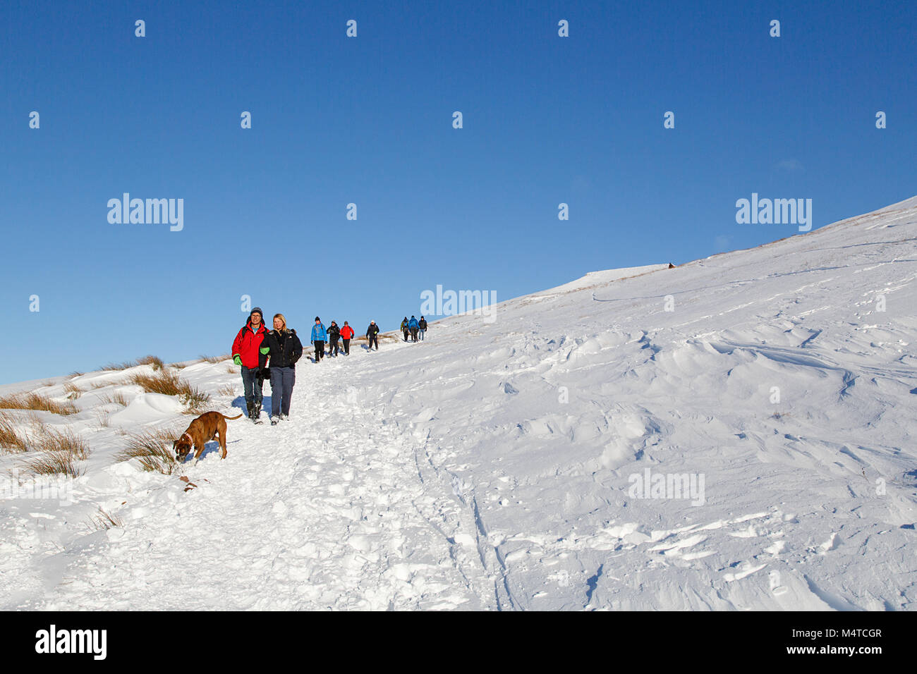 Brecon Beacons, UK: December 11, 2017: People dressed in warm clothing walk down Pen y Fan mountain in the snow with their dog. Stock Photo