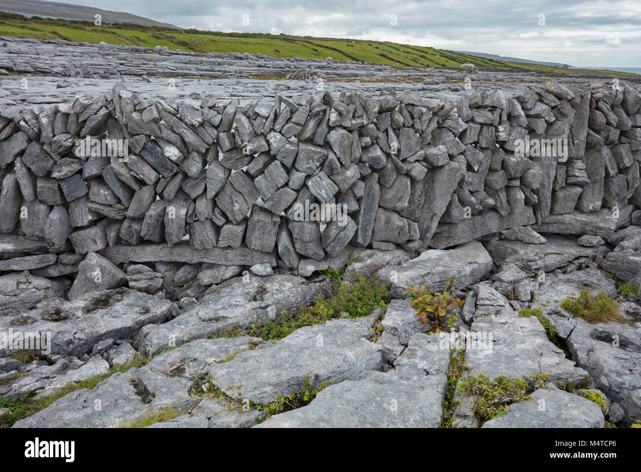 Stone wall and limestone pavement, The Burren, County Clare, Ireland. Stock Photo
