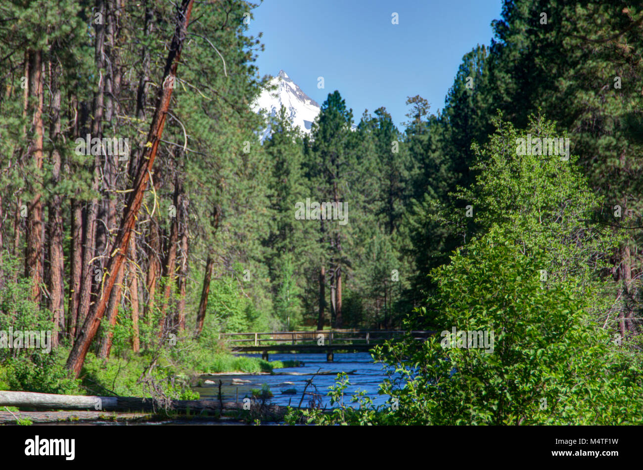 Mt. Jefferson and the head of the Metolius River in central Oregon Stock Photo