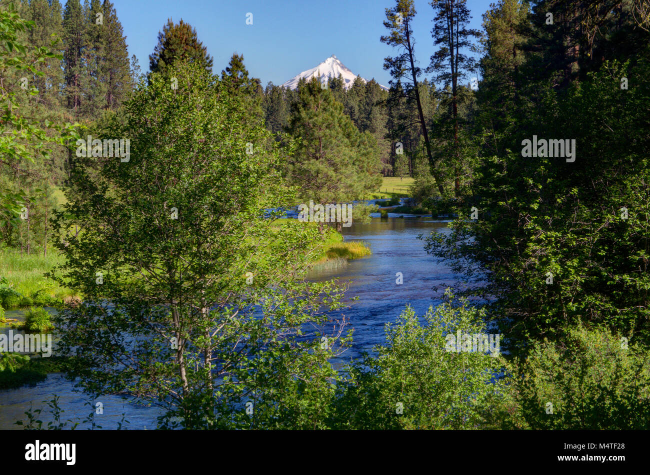 Mt. Jefferson and the head of the Metolius River in central Oregon Stock Photo