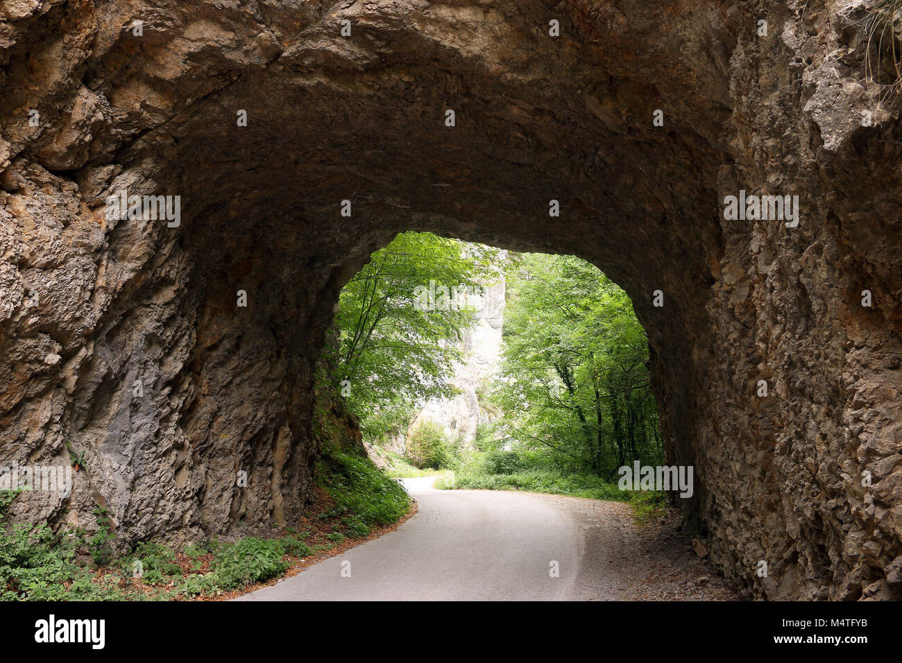 the mountain road passes through a stone tunnel Tara mountain Serbia Stock Photo