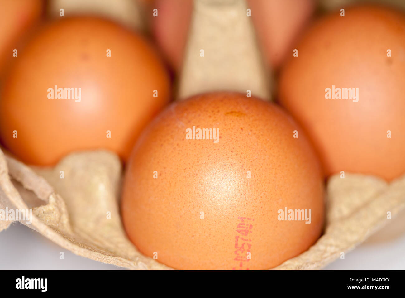 german eggs lies in a egg carton Stock Photo Alamy