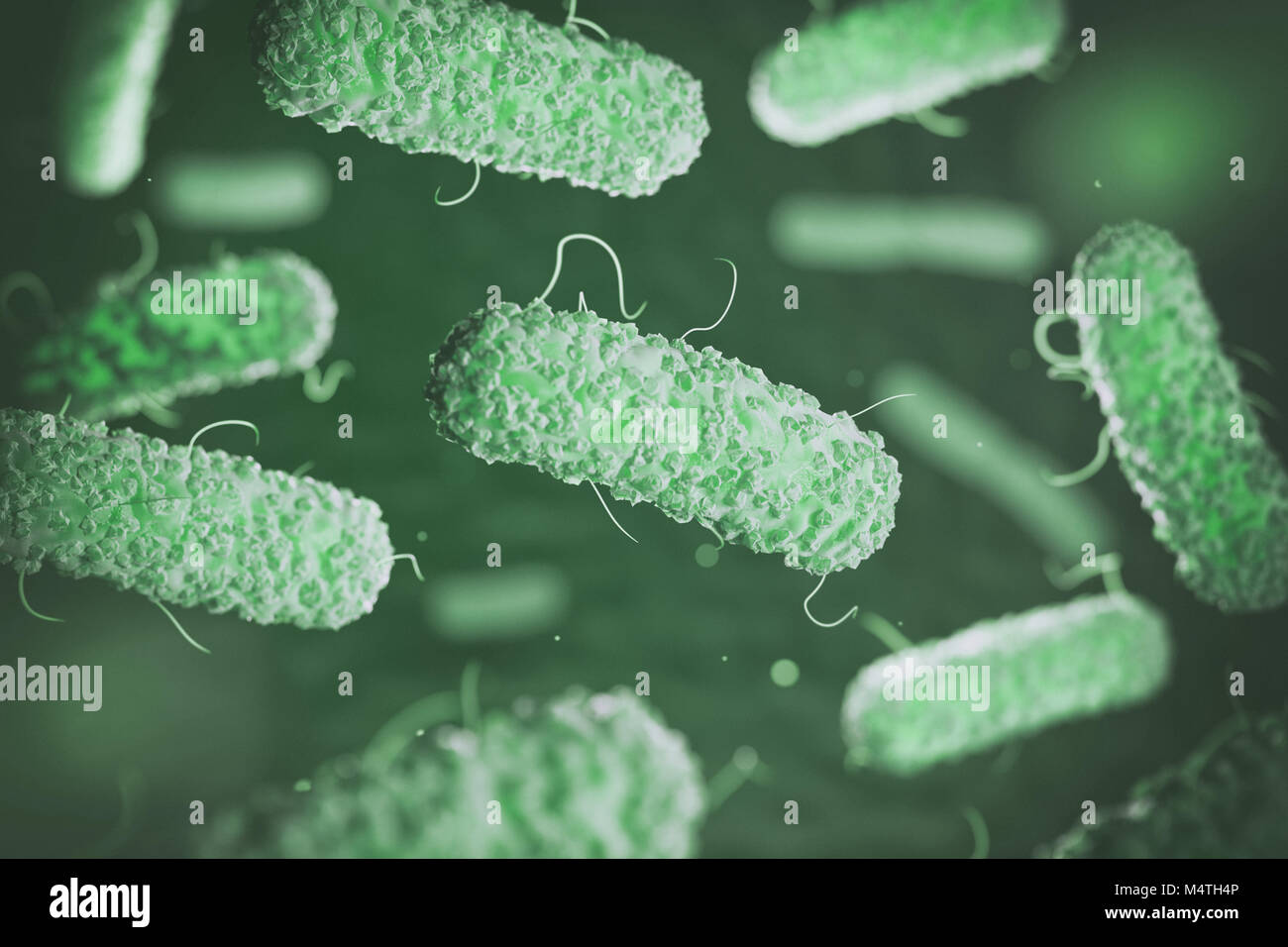 Enterobacterias. Gram-negative bacterias escherichia coli, salmonella, klebsiella, legionella, mycobacterium tuberculosis, yersinia pestis,  and shige Stock Photo