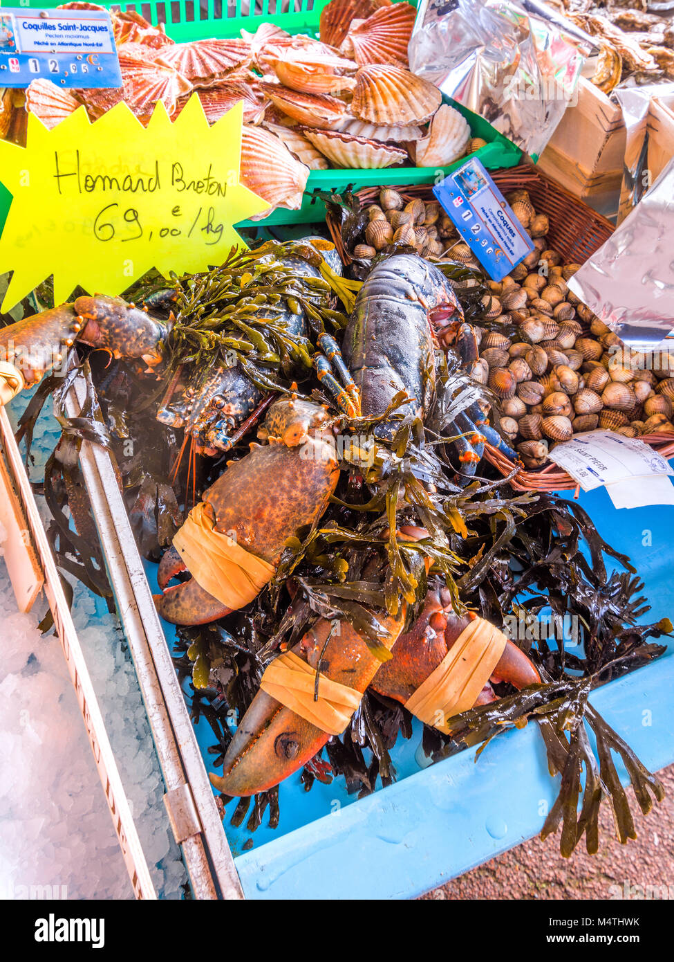 Live lobster on market stall - France. Stock Photo