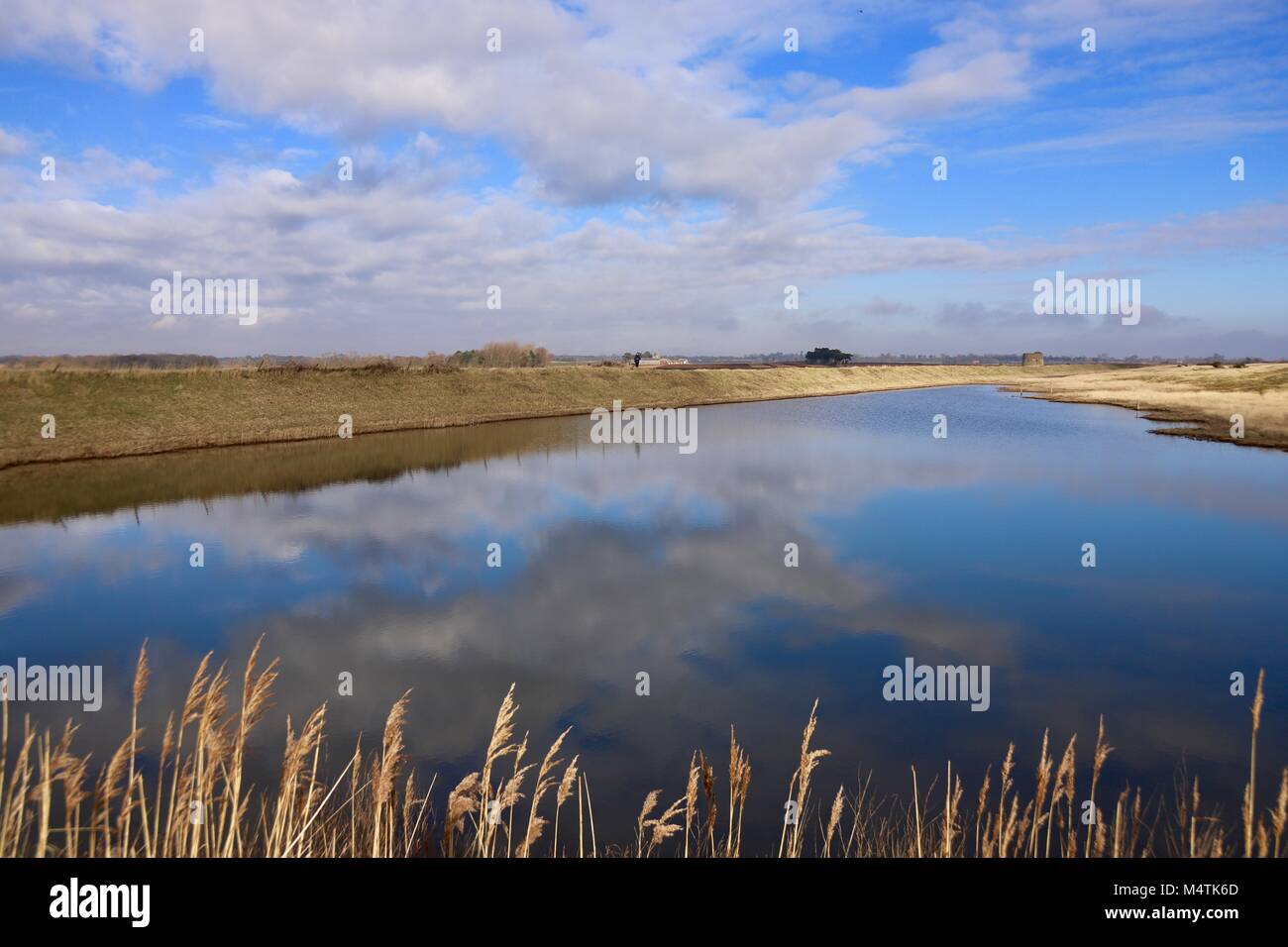Golden banks around a reflecting lagoon by the North Sea at Bawdsey, Suffolk. Stock Photo
