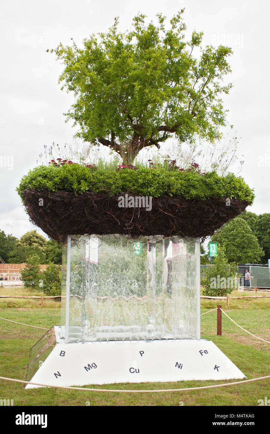 Pumila granatum - Elements of Life concept garden, designed by Bill Wilder, RHS Hampton Court Palace Flower Show 2017 Stock Photo
